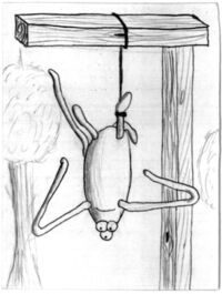 The Hanged Man of Major Arcana from the Uncarrot Tarot Deck