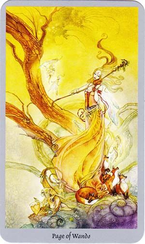 Shadowscapes Tarot - Page of Wands