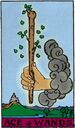 Ace of Wands from the Vivid Waite Smith Deck