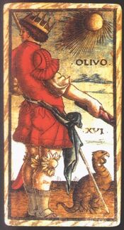 Olivo from the Sola Busca Tarot Deck